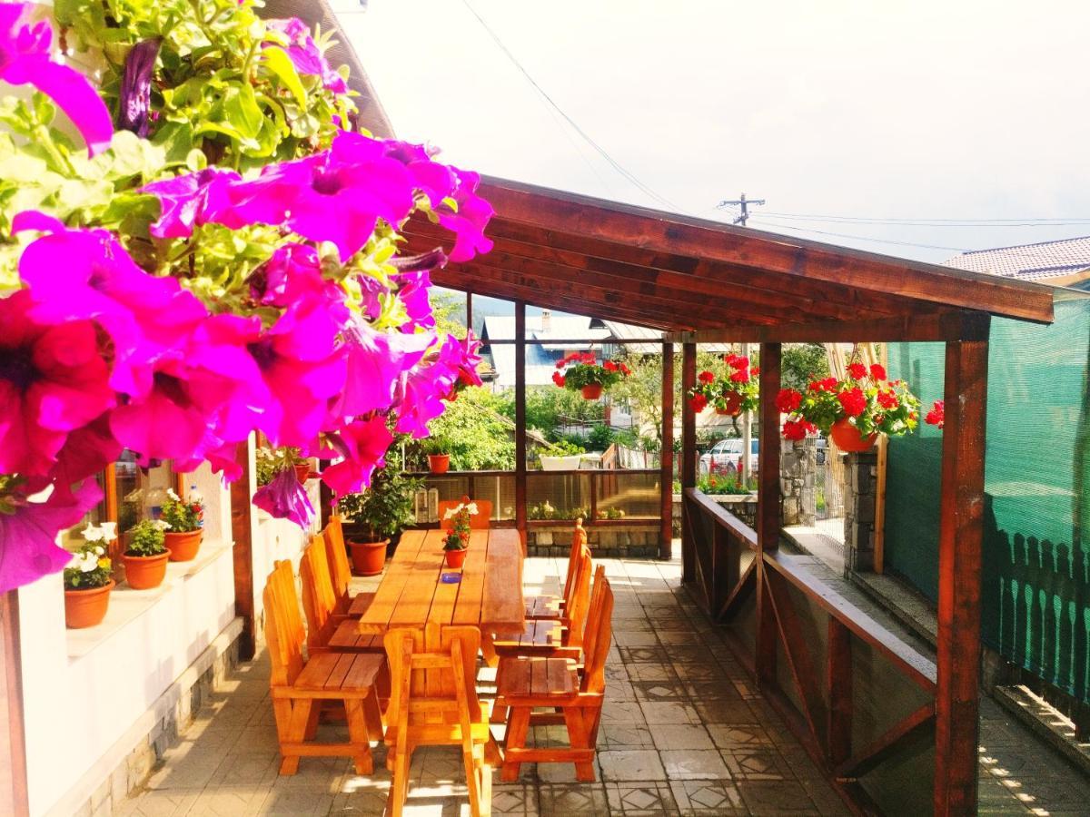 Bianca House Hotel Busteni Exterior photo