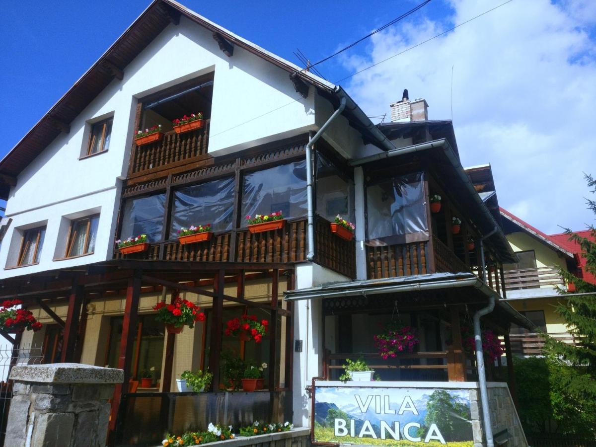 Bianca House Hotel Busteni Exterior photo
